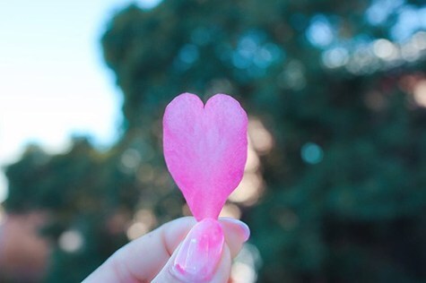 全力で☆あなたに癒やしを与えます 愚痴、悩み、自慢、雑談、なんでも話して下さいね♡ イメージ9