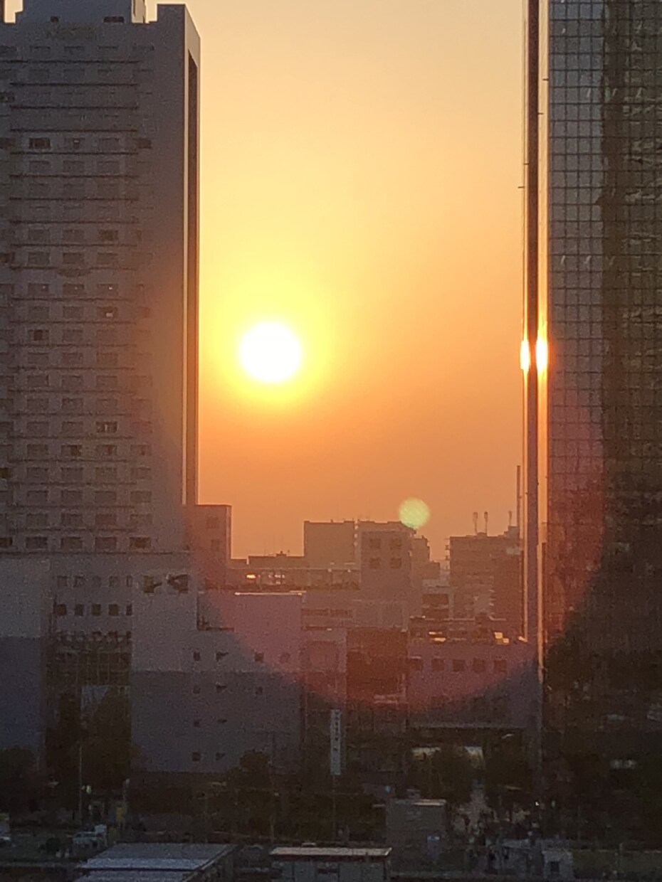 あなただけの寄り添える空間を提供します 特別な存在が欲しいあなたにオススメ！ イメージ1