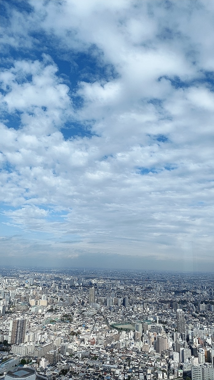 おみくじ感覚タロット＆オラクル１枚引き致します 。選択や方向性に迷った時、ちょっとしたヒントが欲しい方へ イメージ1