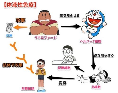 看護師目指してる方！頭に入りやすい勉強法教えます 脱力系！解剖生理学！楽しくわかりやすく解説します イメージ1