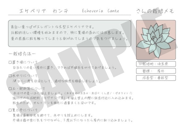多肉植物に関するお悩み聞きます 実生、種子輸入◎50種以上と暮らす愛好家が相談乗ります イメージ5