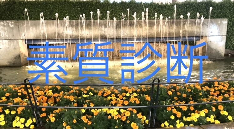 自己分析に役立ちます あなたの素敵なところが輝き活かせるアドバイス イメージ1