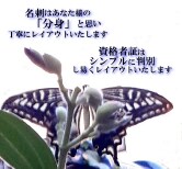 モノクロ１Cからロゴ・資格の入った４Cまで作成ます 名刺・資格者証・カードなど両面レイアウトを作成いたします イメージ1
