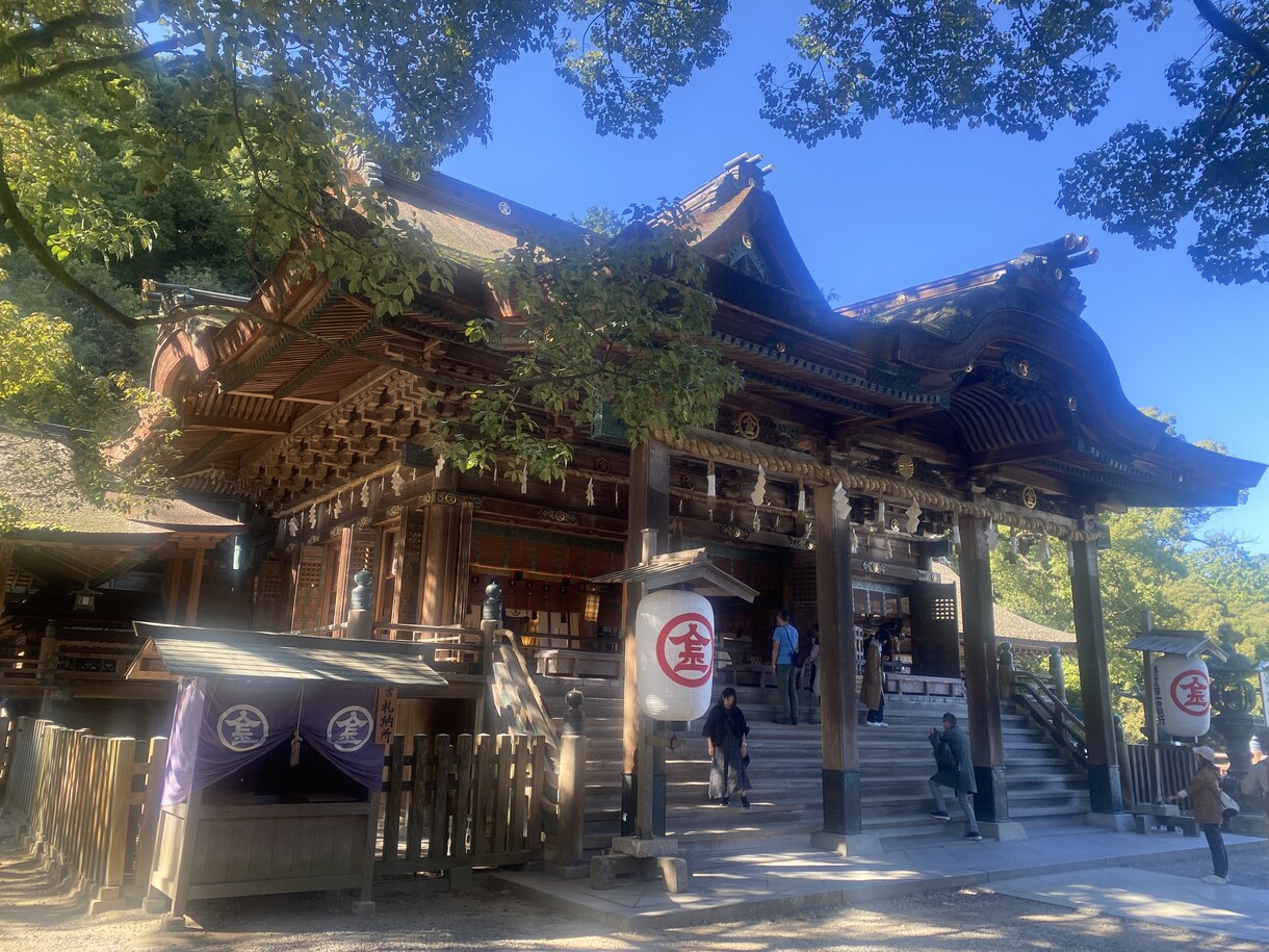 タロット•オラクルカードで神託メッセージで占います タロット•ダーキニオラクルカードの神託のメッセージ イメージ3