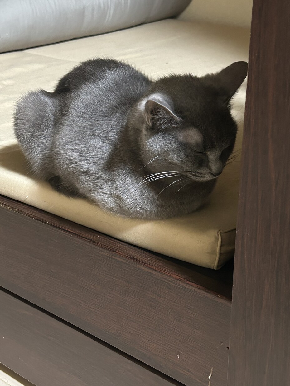 仕事、家庭、恋愛、対人関係何でも愚痴聞きます 愚痴聞きますよ( ᴖ ·̫ ᴖ ) イメージ2