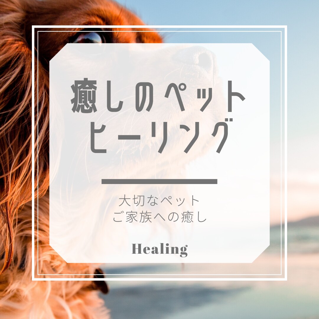 大切な家族（ペット）にご褒美⭐️ヒーリング致します エネルギーセラピー癒しのヒーリング⭐️大切な家族へリラックス イメージ4