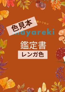 あなたと彼の恋との未来|極秘トリセツで読み解きます 知るだけで恋が動き出す宇宙の法則✨ 2人の本質をトリセツに イメージ9