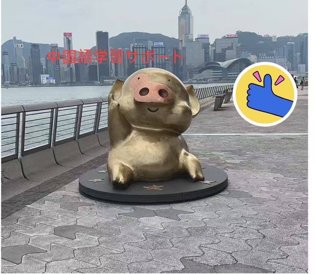 自己学習をサポート！実践的な中国語レッスンします 自己学習での中国語の学習サポートします。 イメージ1