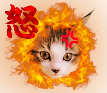 大切な人・ペットの癖のあるラインスタンプを作ります あなただけのラインスタンプを作ります イメージ5