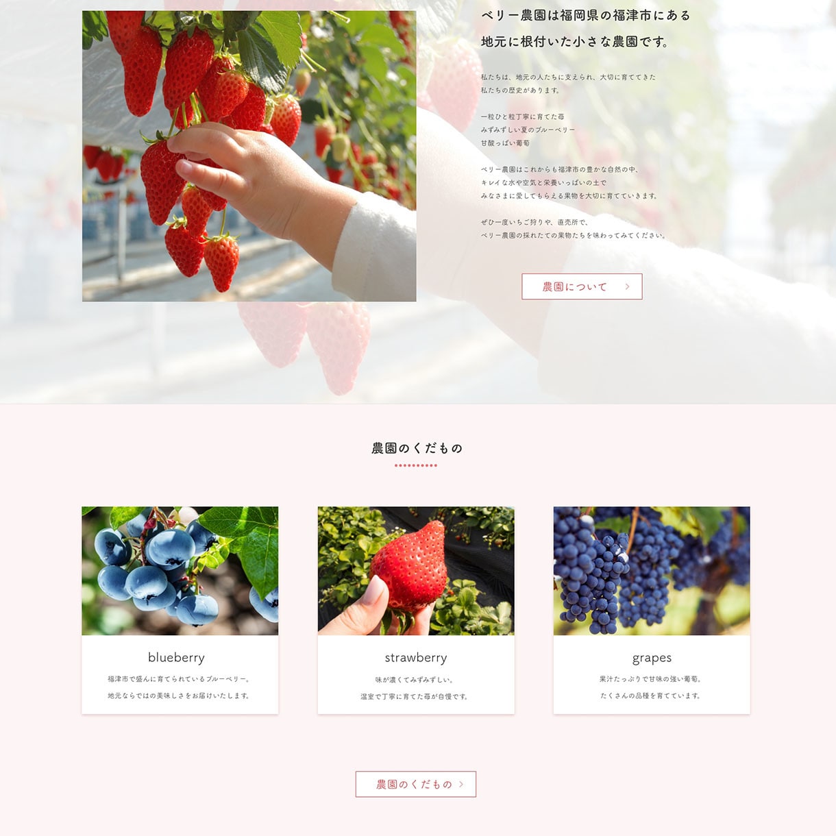 WordPressでホームページをお作りします 現役Webデザイナーがワードプレスでホームページを作ります イメージ2