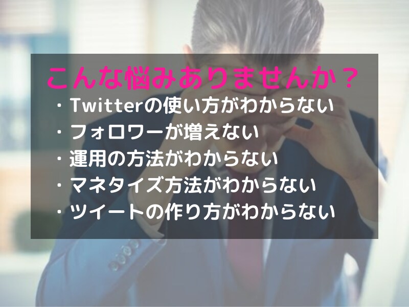 10部限定価格・Twitter運用の教科書ます 10,000フォロワー達成までのロードマップ イメージ3