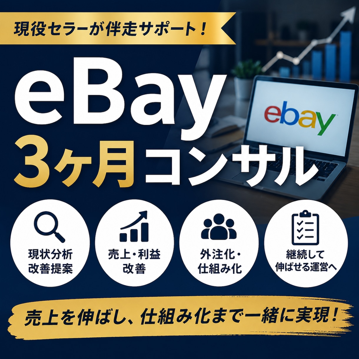 eBay外注化＋売上改善伴走3ヶ月コンサルします ビデオ+チャットebay7年目現役セラーがサポートします イメージ1