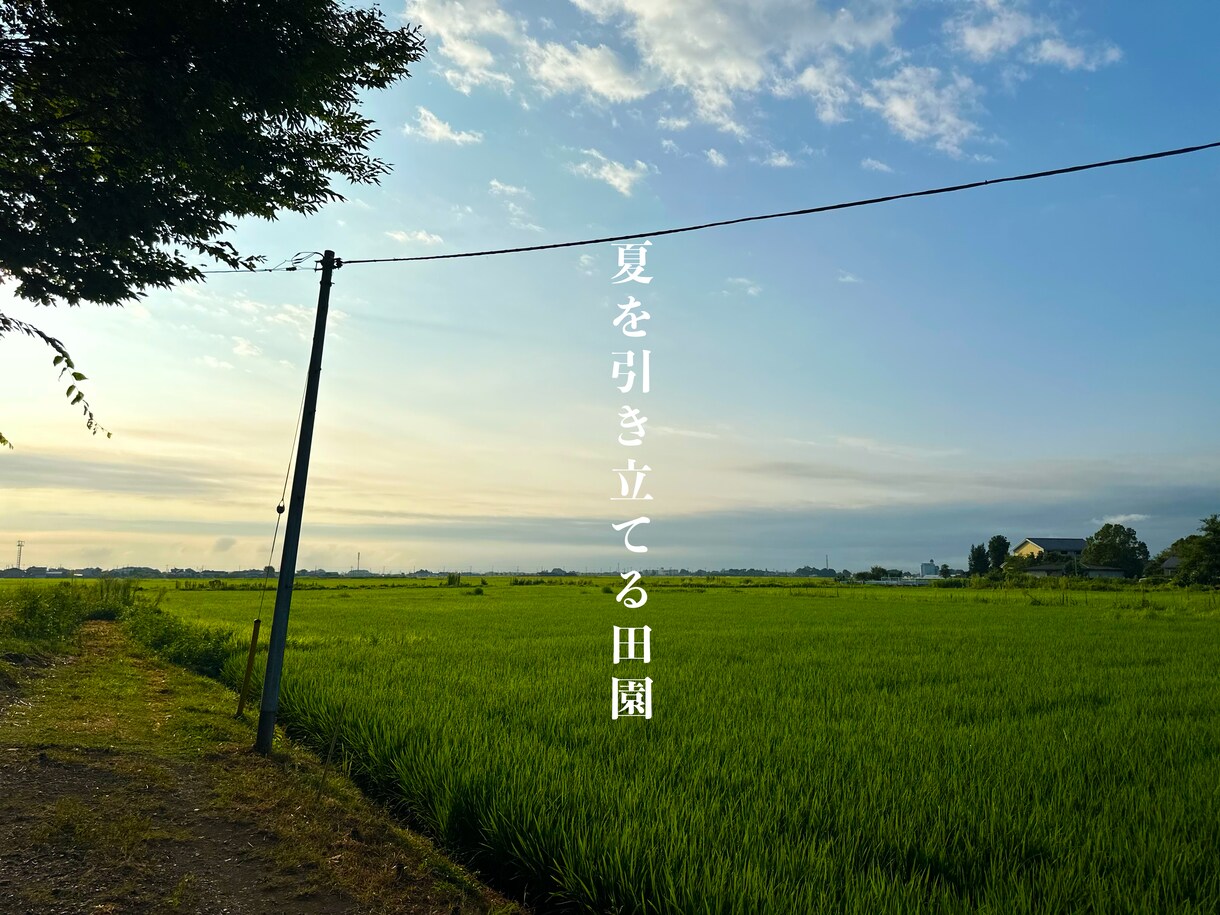 羽生市 事業、SNS画像、POP製作承ります 羽生市で活躍の事業様応援！！　画像、POP作成致します！ イメージ4