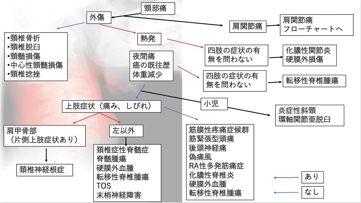 病院実習・学校に提出するレポートをサポートします 効率の良い勉強方法は聞くことです イメージ5