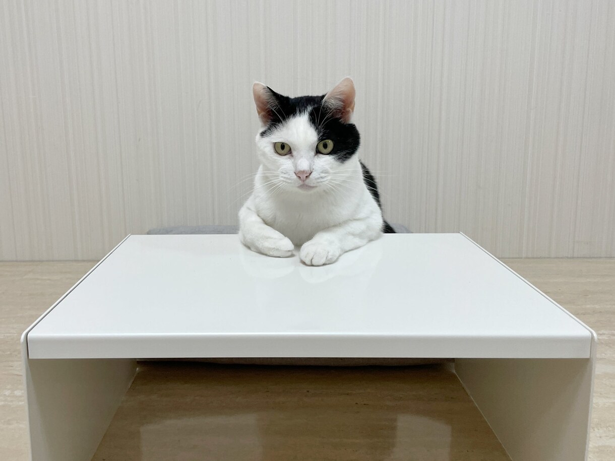 お悩みのご相談をお聞きします 悩んでいる、どうしよう、一緒に考えます。 イメージ2