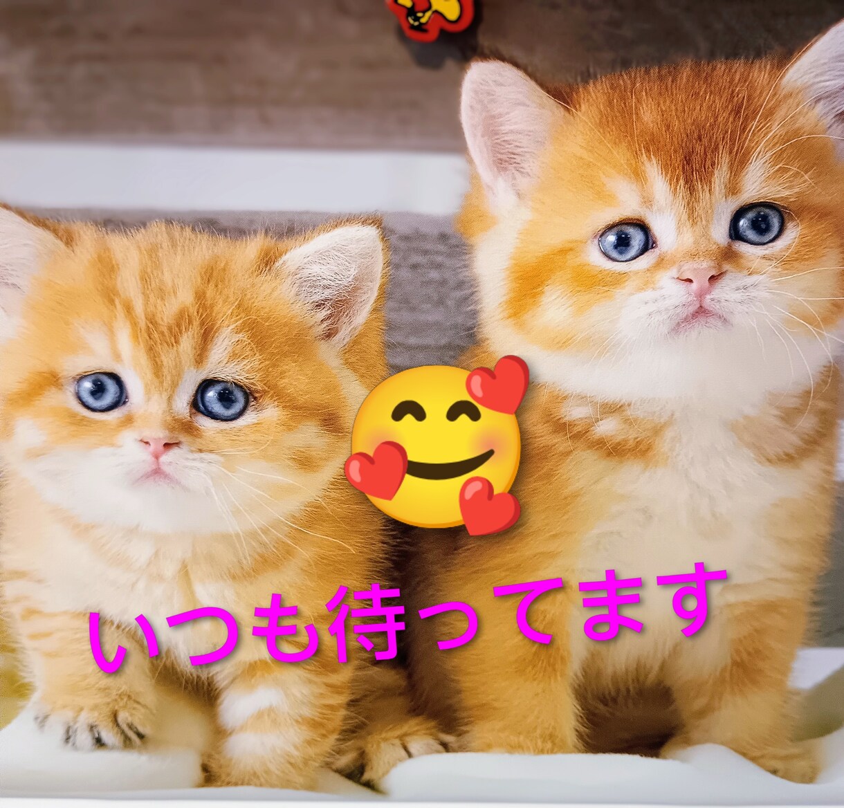 思いっきりすっきり❤️HSP同士が丸ごと聴きます 雑談～悩み相談まで傾聴共感♡モラハラ　セクハラ　回避型依存症 イメージ6