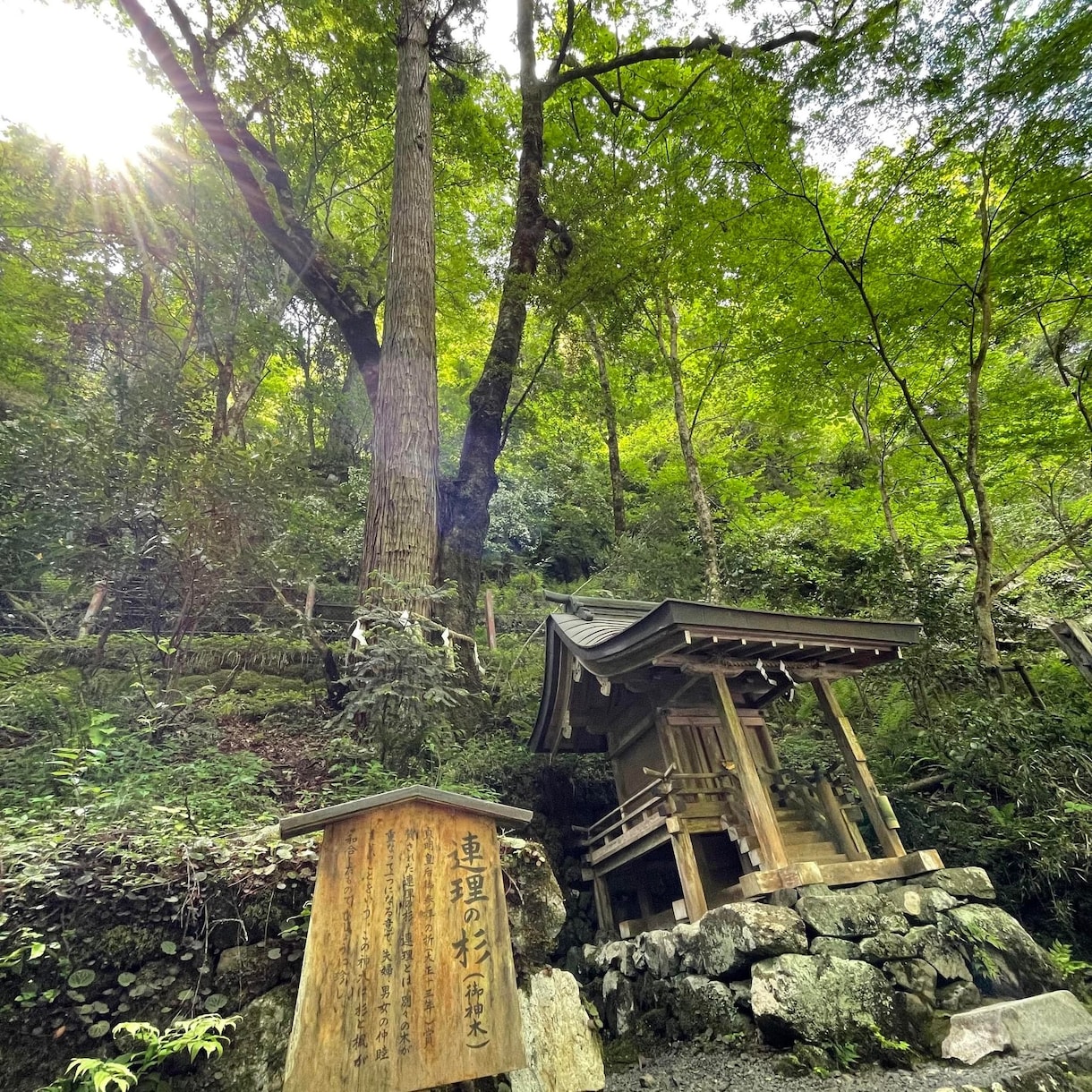 写真提供します お好みの写真あれば御提供させていただきます！ イメージ2