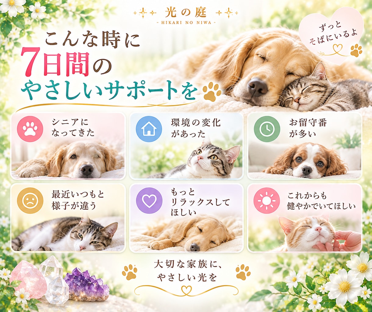 大切なペットを7日間クリスタルの光で癒します その子に合わせたクリスタルを選び、7日間やさしく寄り添います イメージ5