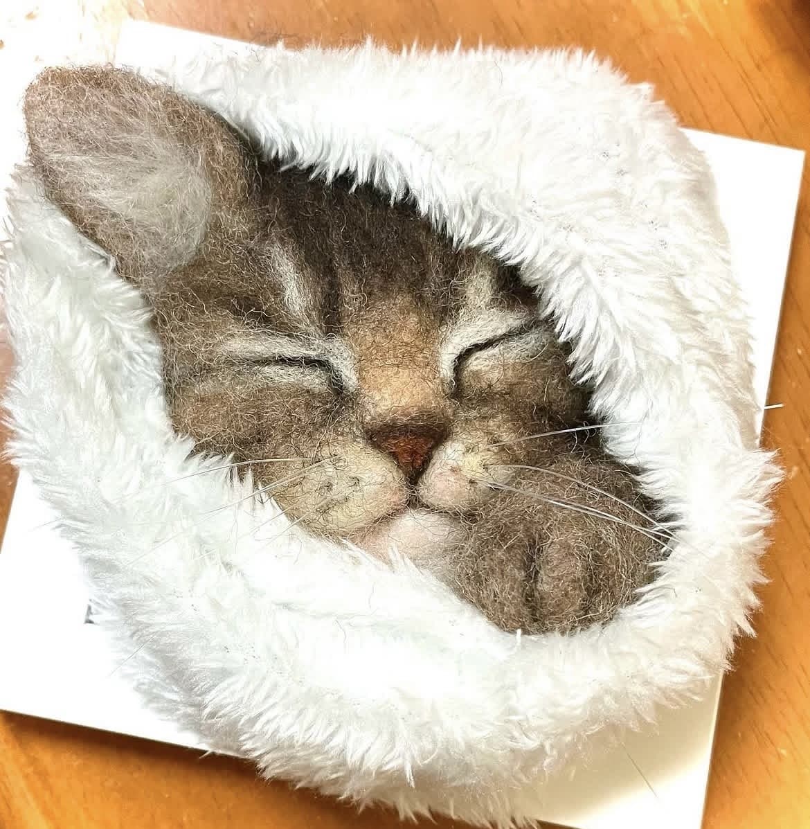 ペットさんを羊毛フェルトで額縁仕様でお作りします ペットさんの大切な想い出にいかがでしょうか。 イメージ6