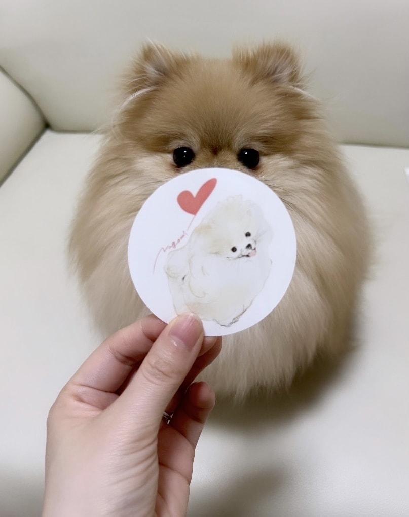 動物のシンプルなラインアート描きます ◎写真を元に簡単オーダーメイド◎ イメージ4