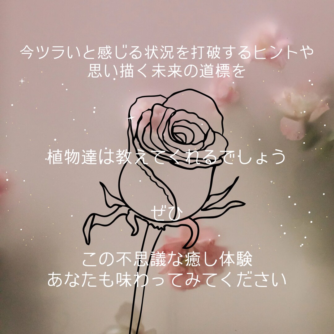 あなたの魅力をアロマリーディングします 〜植物が教えてくれるあなたの香り立つ魅力〜 イメージ4