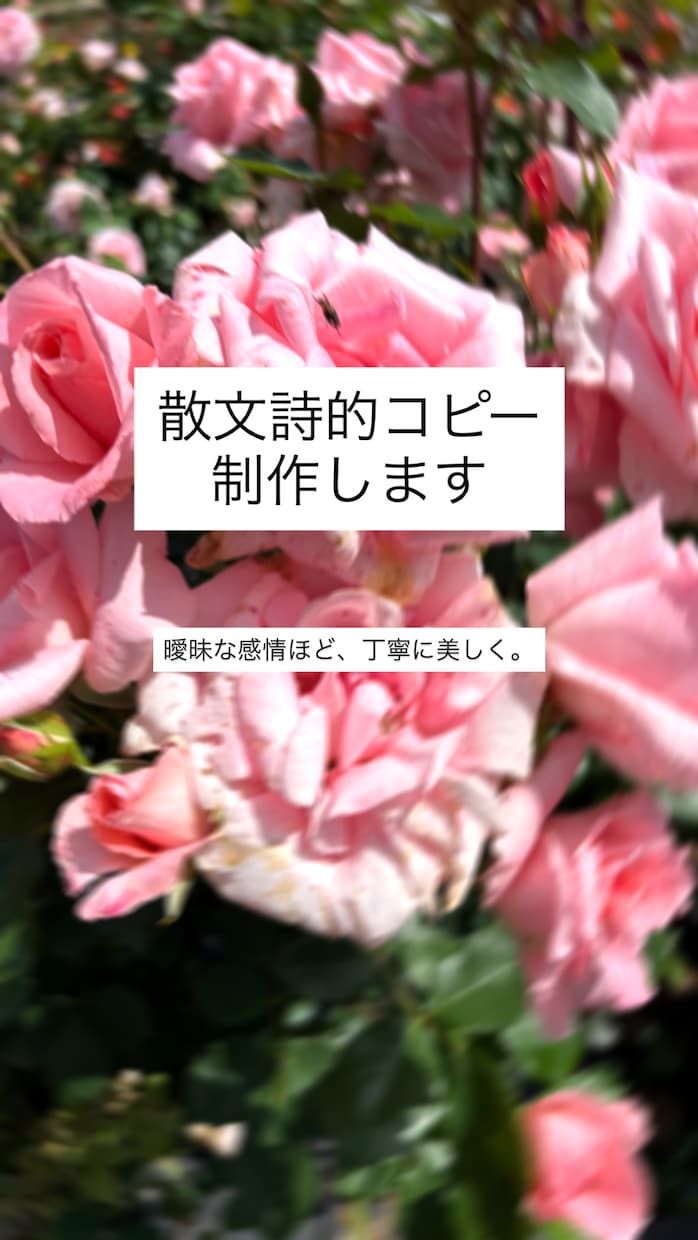 散文詩的コピー制作します 曖昧な感情ほど、美しく伝えたい。 言葉に、体温を。 イメージ1