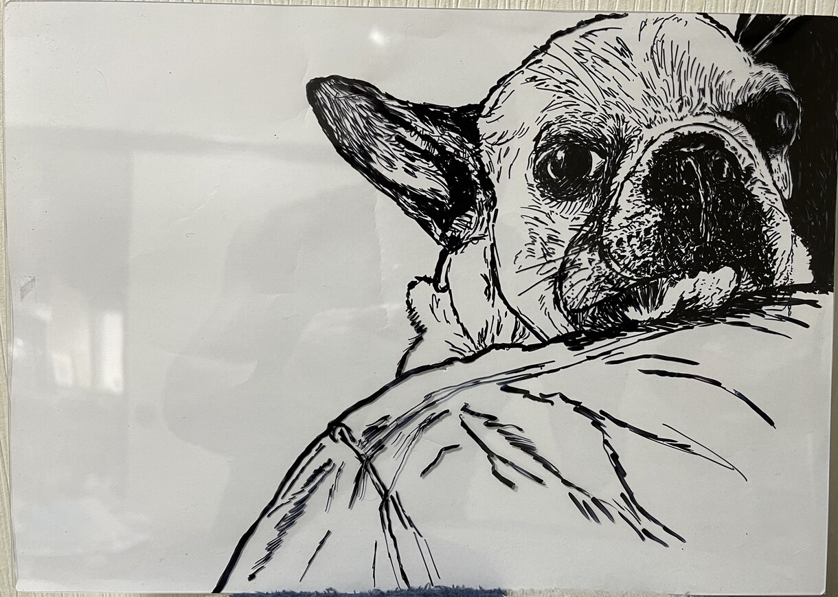 あなたのペットの写真からイラストを描きます キャッチーなコピーも併せて提供させて頂きます。 イメージ7