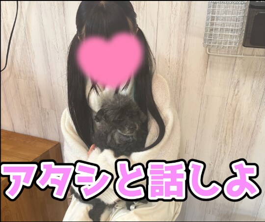 文通感覚でメッセージやり取りします ワンセット５ラリーでお話しするよ イメージ3