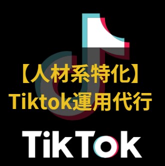人材系特化！Tiktok運用代行をやります Tiktokでしか獲得できないリードへつなげます イメージ1