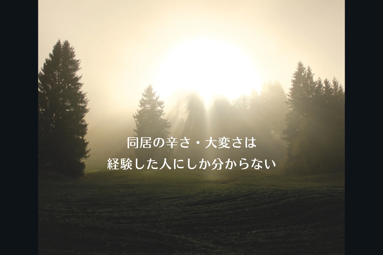 行き場のないモヤモヤ、全て受け止めます 同居で疲れたあなたの心に寄り添います。そのモヤモヤにバイバイ イメージ2