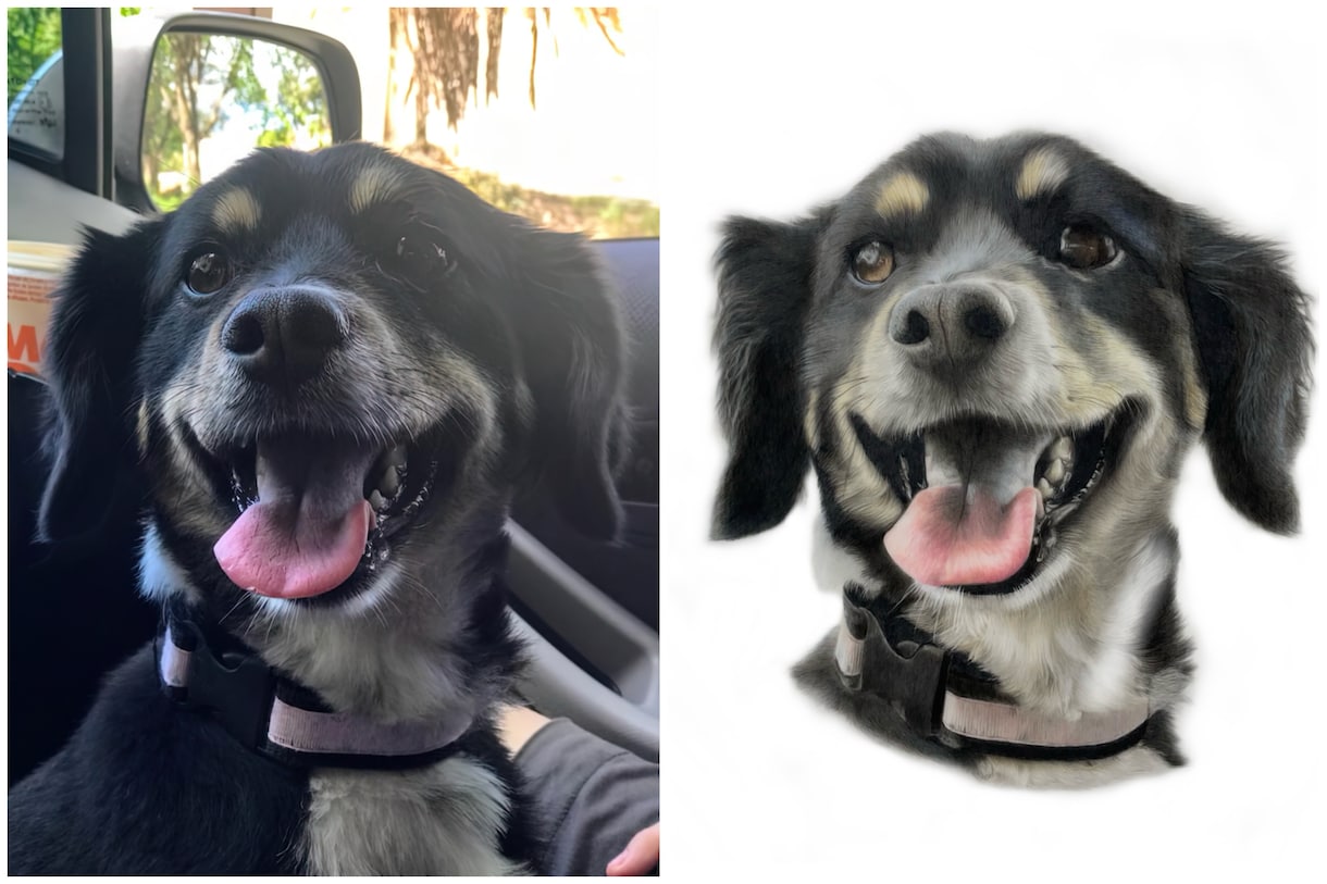 あなたのペット・犬・猫などの似顔絵を描きます 写真のようなリアルな あなたのペットのイラストを製作します イメージ3