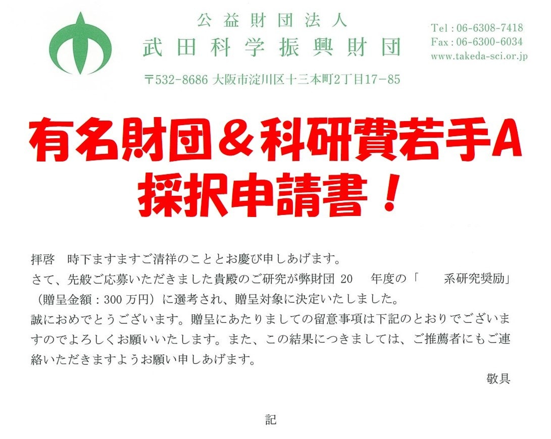 科研費若手A など競争的資金採択申請書を提供します 大型助成金、有名財団の採択実例のご提供！ イメージ1