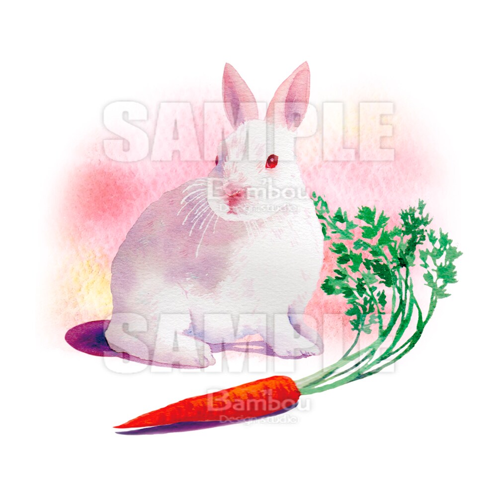 商用OK！プロが透明水彩で動物・植物を描きます 書籍・雑誌・カタログ・ウェブサイトなどにお使いいただけます イメージ4