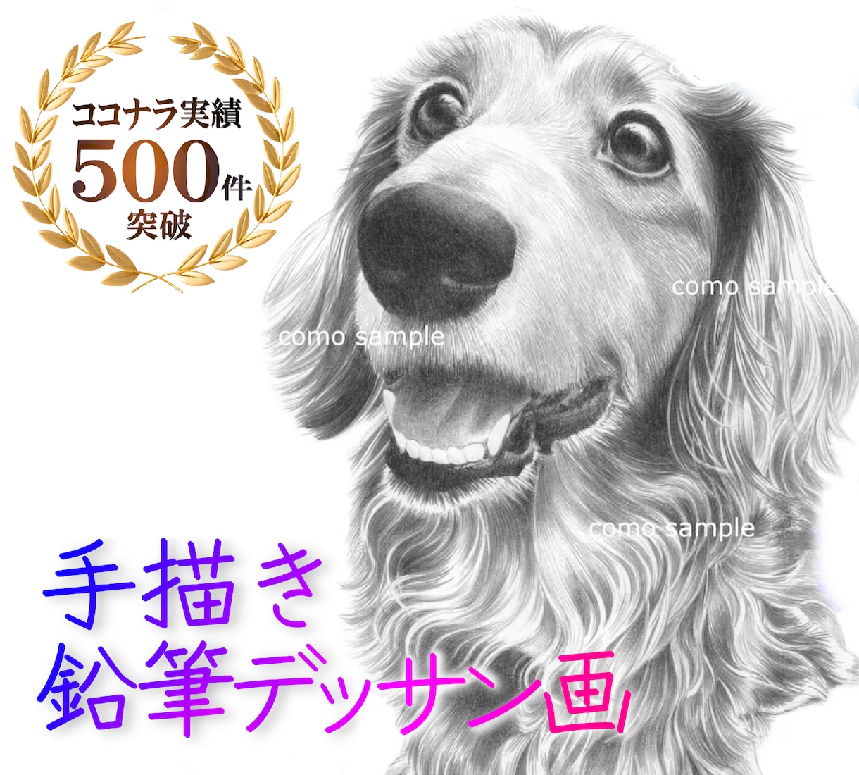 ハイクオリティなペット似顔絵を、鉛筆で手描きします ♪精密描写＊記念プレゼント＊インテリアアート＊アイコンなどに イメージ1