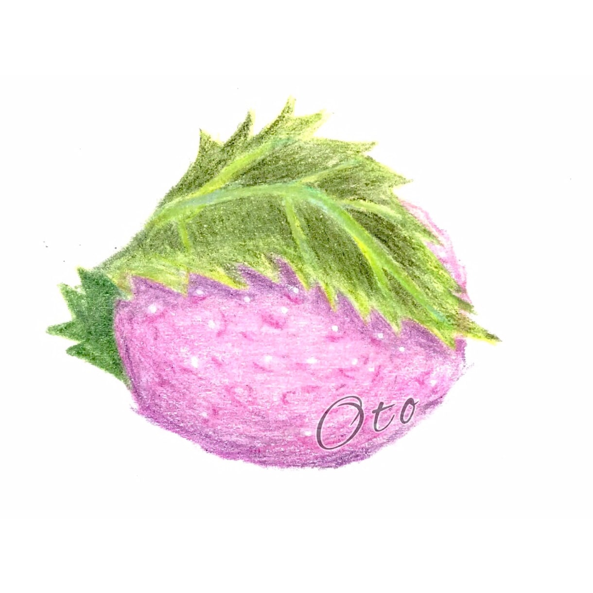リアルな植物や食べ物のイラスト描きます SNSを始めようとしている方、アイコンを新調したい方は是非！ イメージ3