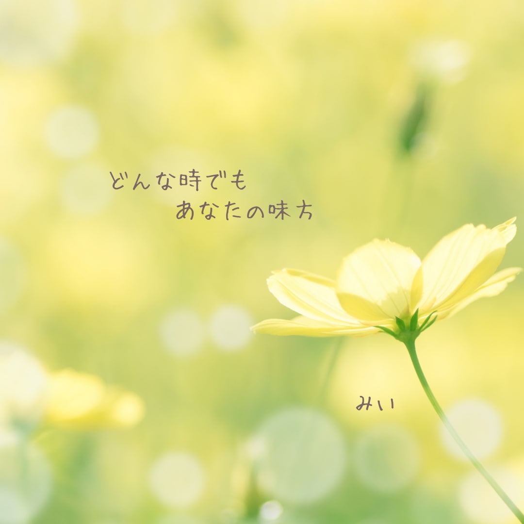 男性限定⭐️ふんわり⭐️あなたの話し相手になります 女友達♪先輩女子♪いとこのお姉さんの感覚で♪楽しく話しましょ イメージ9