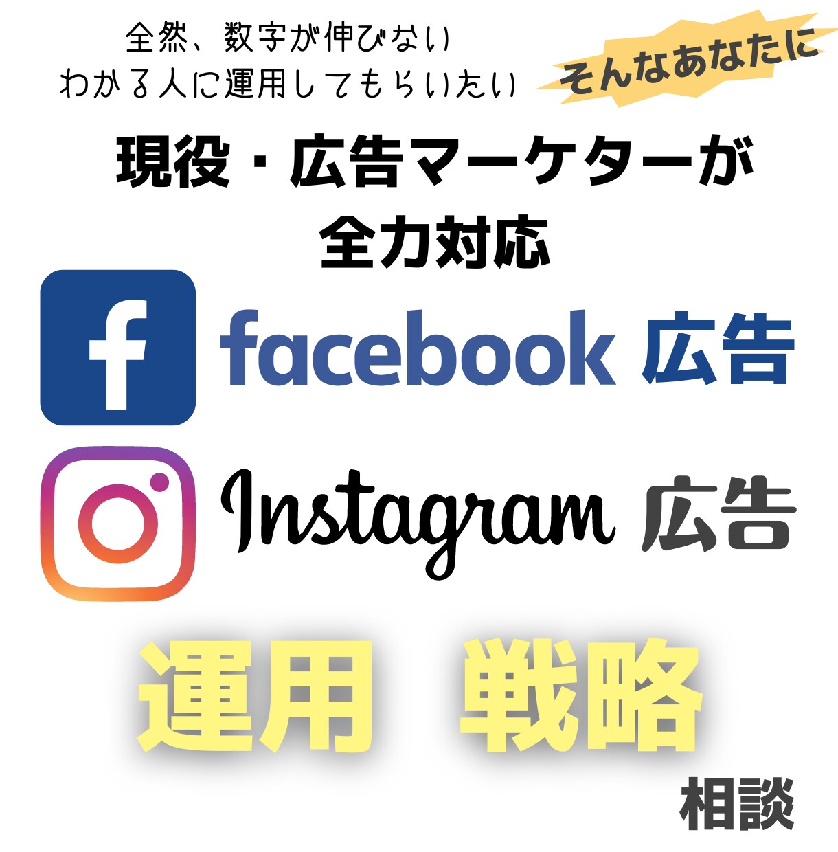 FB広告運用コンサル【プロが全力アドバイス】します 【Facebook広告の相談】売上コミットの改善・戦略立案 イメージ1