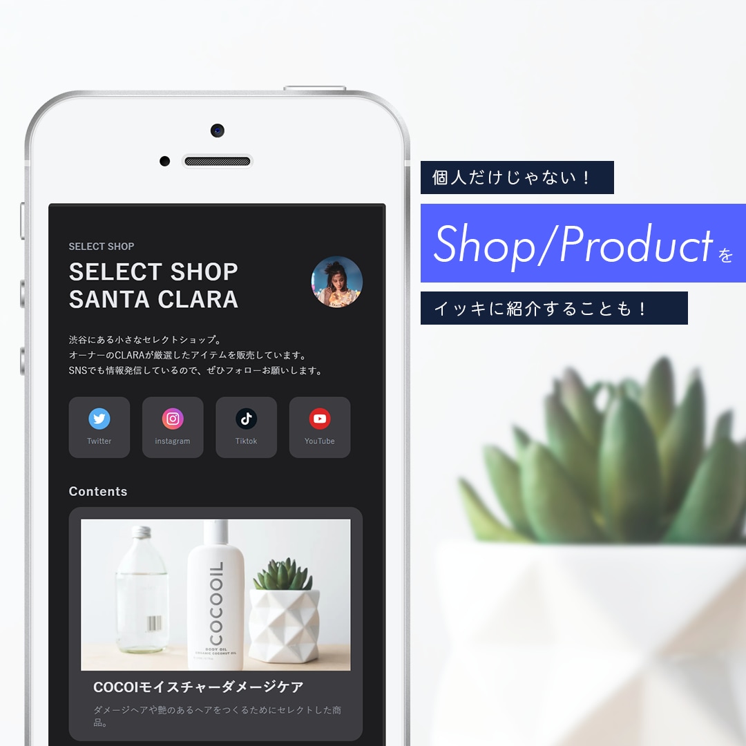 アナタだけの高品質SNSまとめサイト作ります あなたのフォロワーを飽きさせず、メディアに案内しましょう！ イメージ3