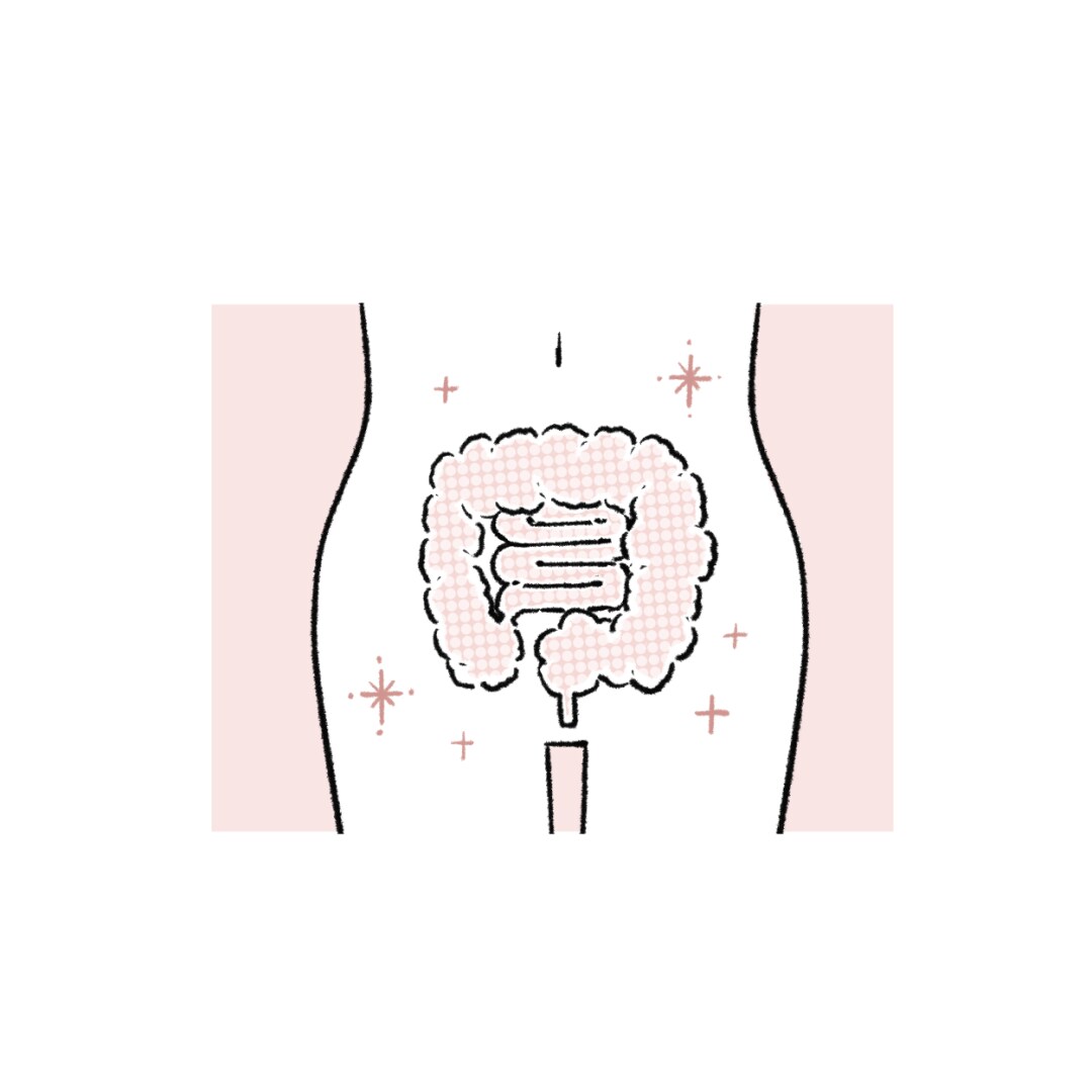 医療・ヘルスケア・素朴系　商用イラスト制作します 教育・医療・EC・カタログ対応｜温かみのあるタッチ イメージ5