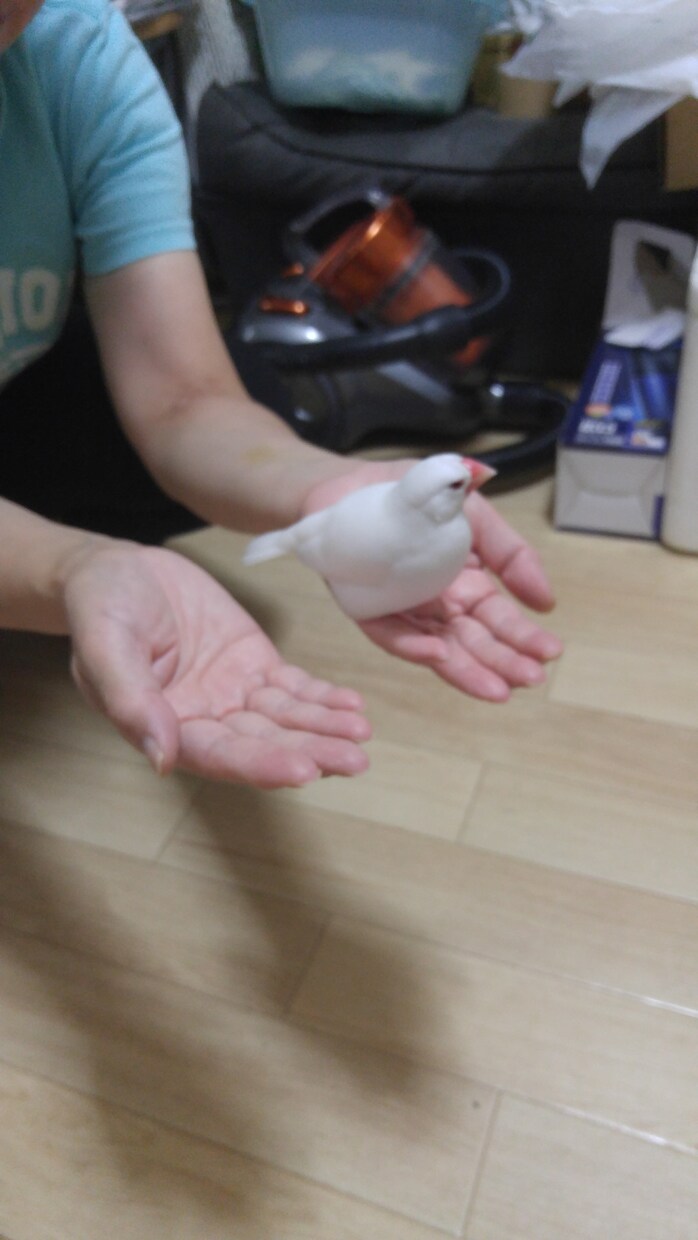 日頃の不満や愚痴あるいは悩みを聞きます 誰にも相談できないようなことも聞きます。 イメージ1
