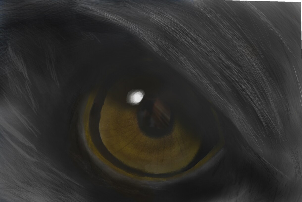 動物の目を描きます 動物なリアリティを追求します。 イメージ1