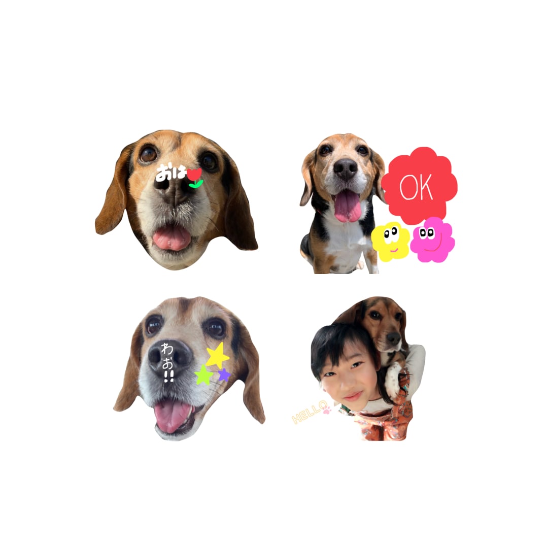 写真からオリジナルLINEスタンプ作成いたします 携帯に眠っている思い出の写真をスタンプにしませんか？ イメージ2