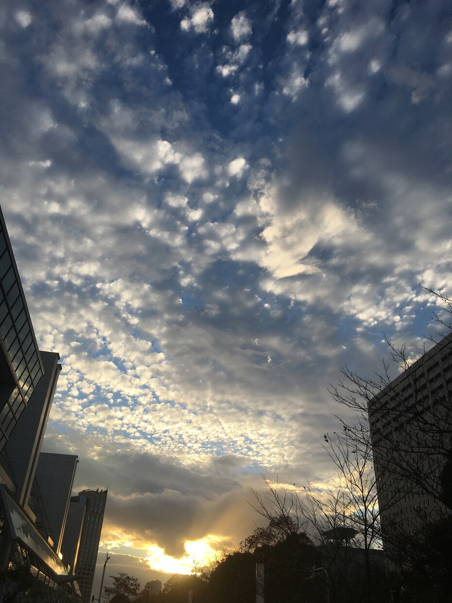 パートナーとの関係に疲れているあなたのお話伺います カウンセリングやコーチングではありません。愚痴聞き相手です。 イメージ6