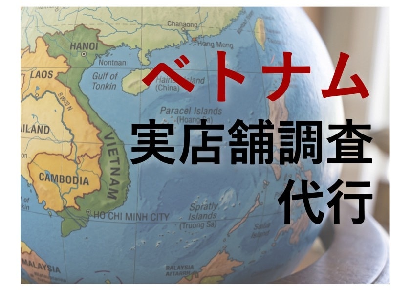 ベトナム市場の競合製品や店舗棚の実態を調査します ネットにない現地のリアルな流通・価格・陳列を徹底レポート イメージ1