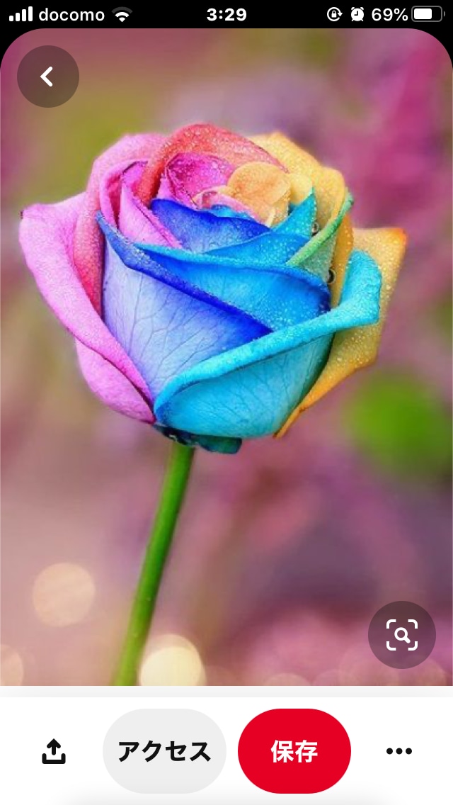 未来のあなたが、あなたを見て微笑んでいます 数十年先のあなたになって、あなたを見つめてみてください^_^ イメージ4