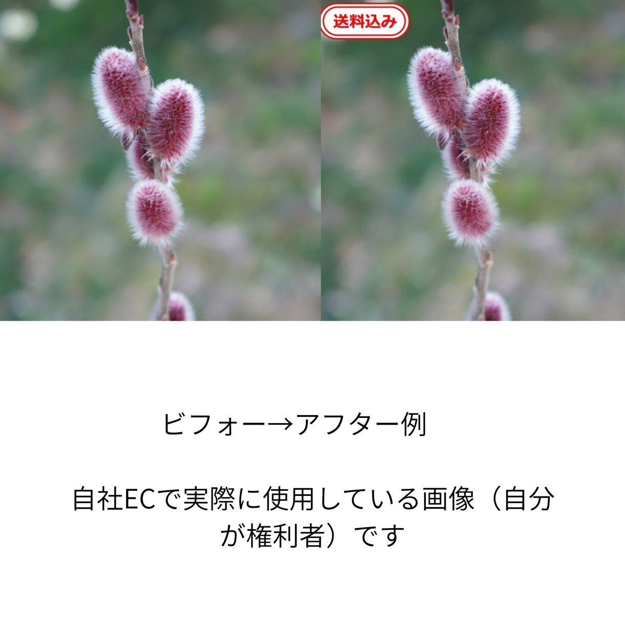 商品画像の切り抜き＆影付けます EC画像、1枚から即対応します イメージ2