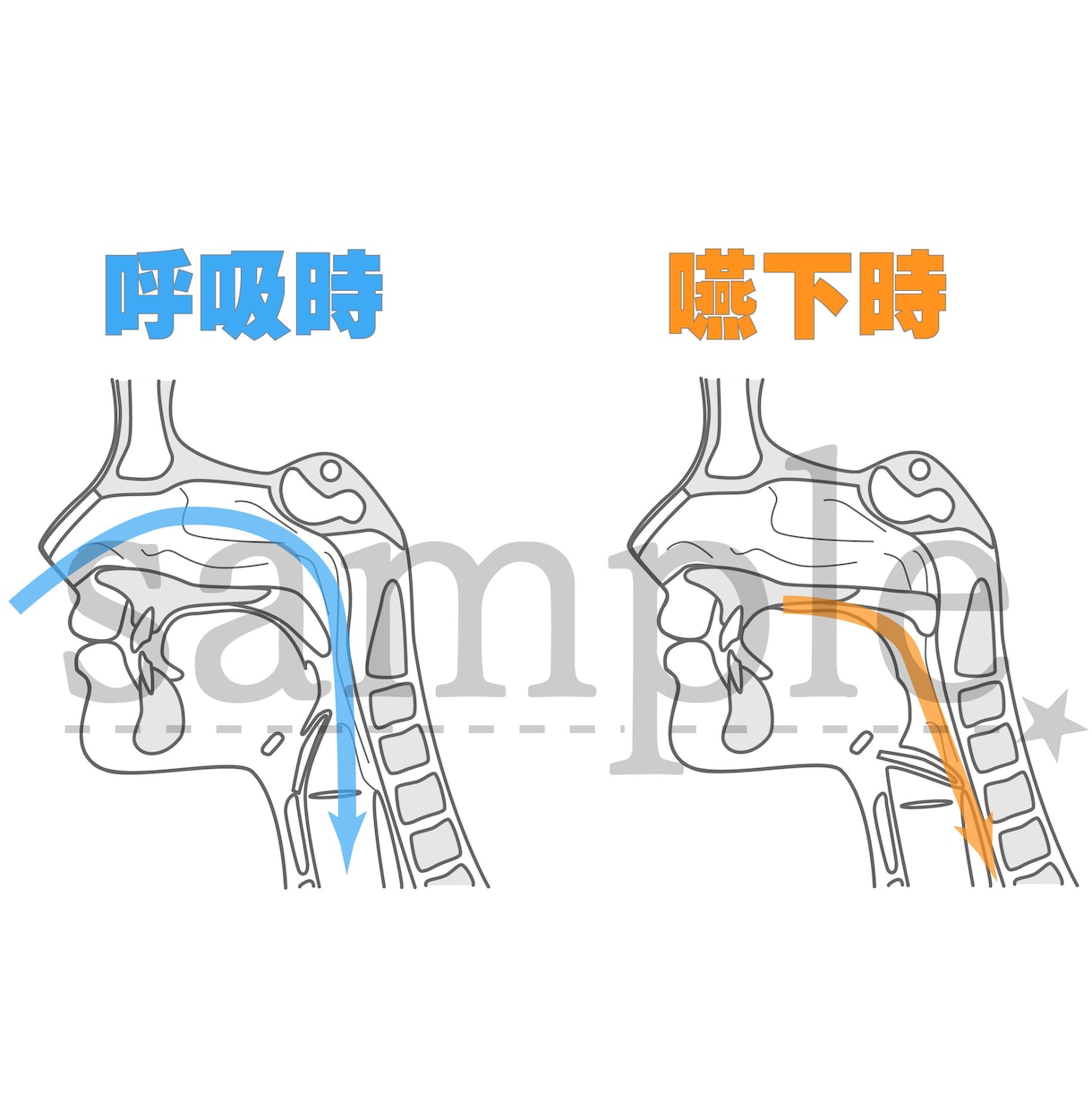 伝わる歯科イラスト描きます AI・JPEG・PNG・PDF対応 イメージ6