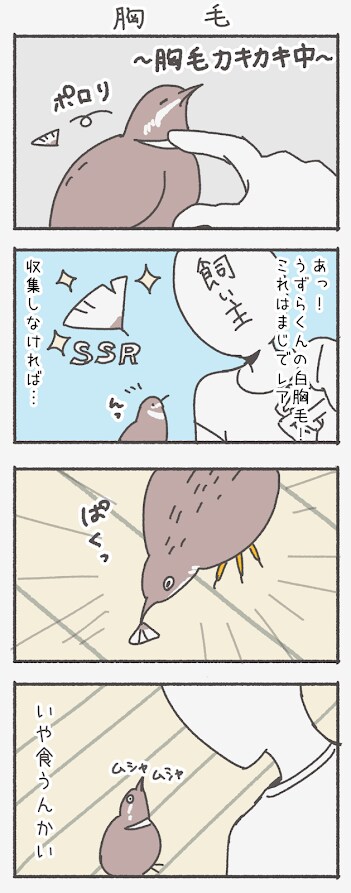 ほのぼの4コマ制作致します 動物・小鳥のほのぼのイラスト・四コマ制作致します イメージ4