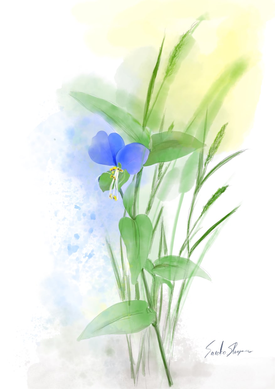 大好きなお花をデジタル水彩画で描きます 季節に合わせたお花を絵葉書にしてみませんか イメージ1