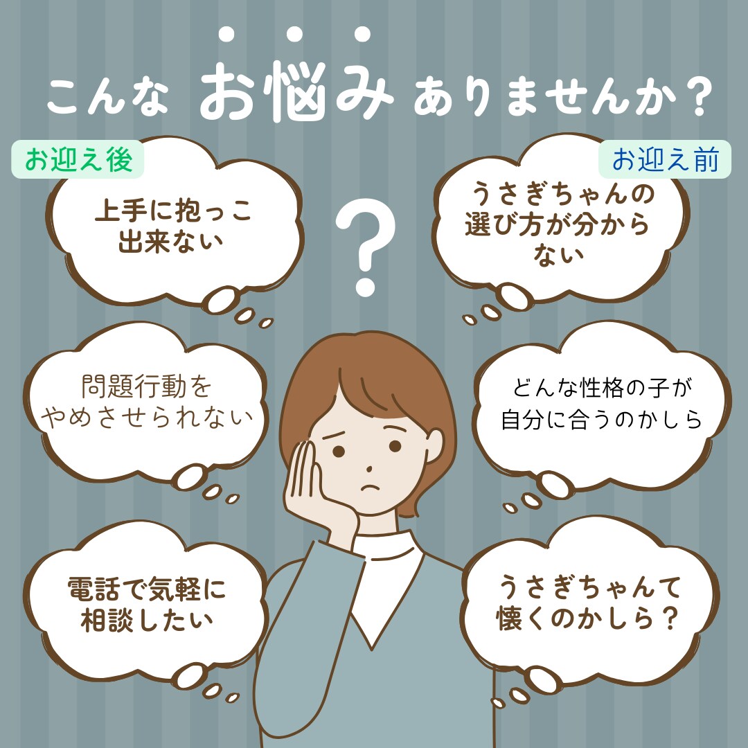 うさぎちゃんのあらゆる御相談お伺いします 動物有資格者飼育アドバイザー活動10年以上の経験 イメージ1
